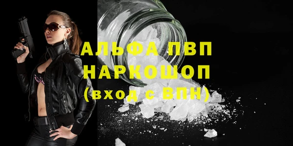 прущие грибы Волосово