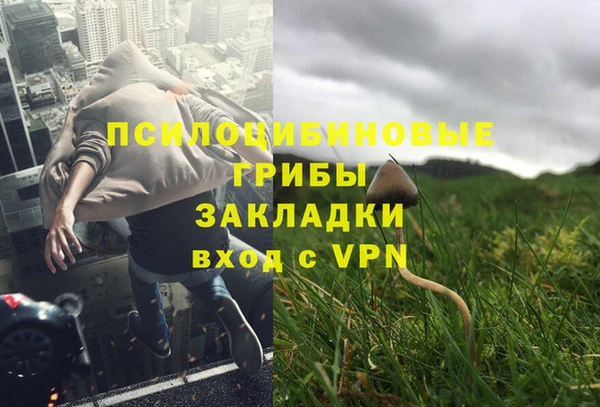 твердый Володарск