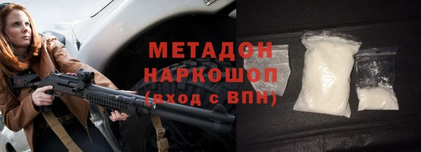 прущие грибы Волосово