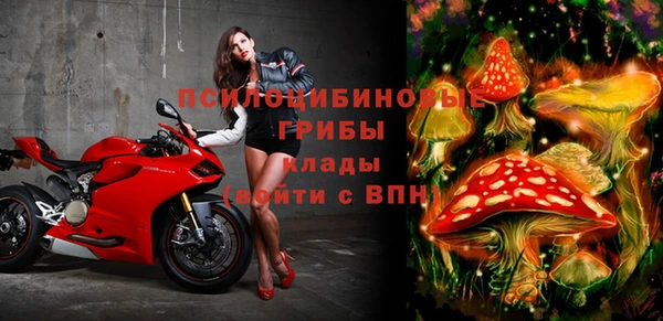 прущие грибы Волосово