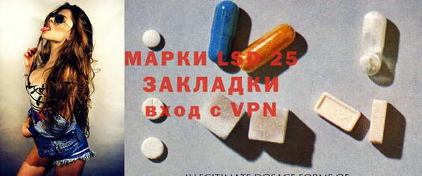 прущие грибы Волосово