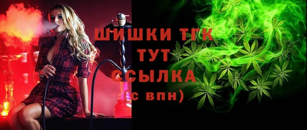 твердый Володарск