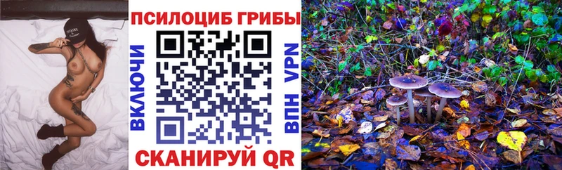 Купить  Юрьев-Польский  Псилоцибиновые грибы Psilocybine cubensis 